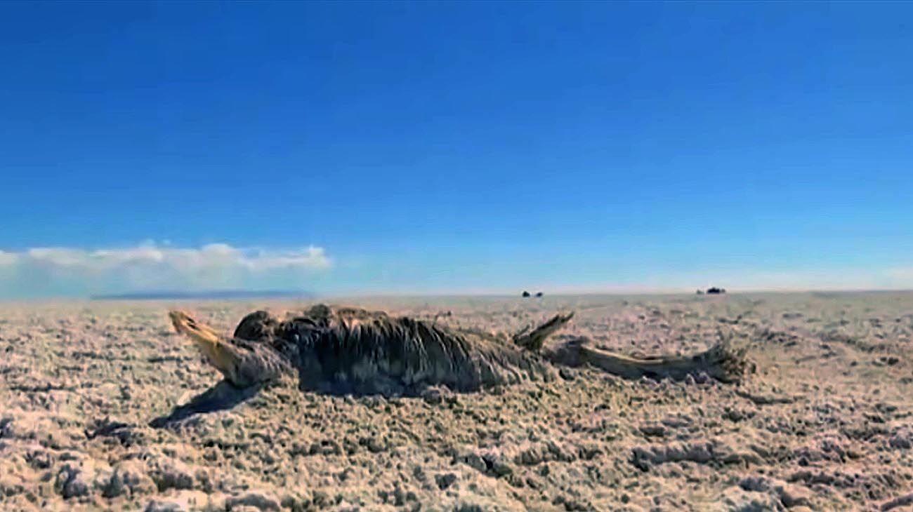 Se seca el Lago Poopó de Bolivia y provoca un desastre ecológico