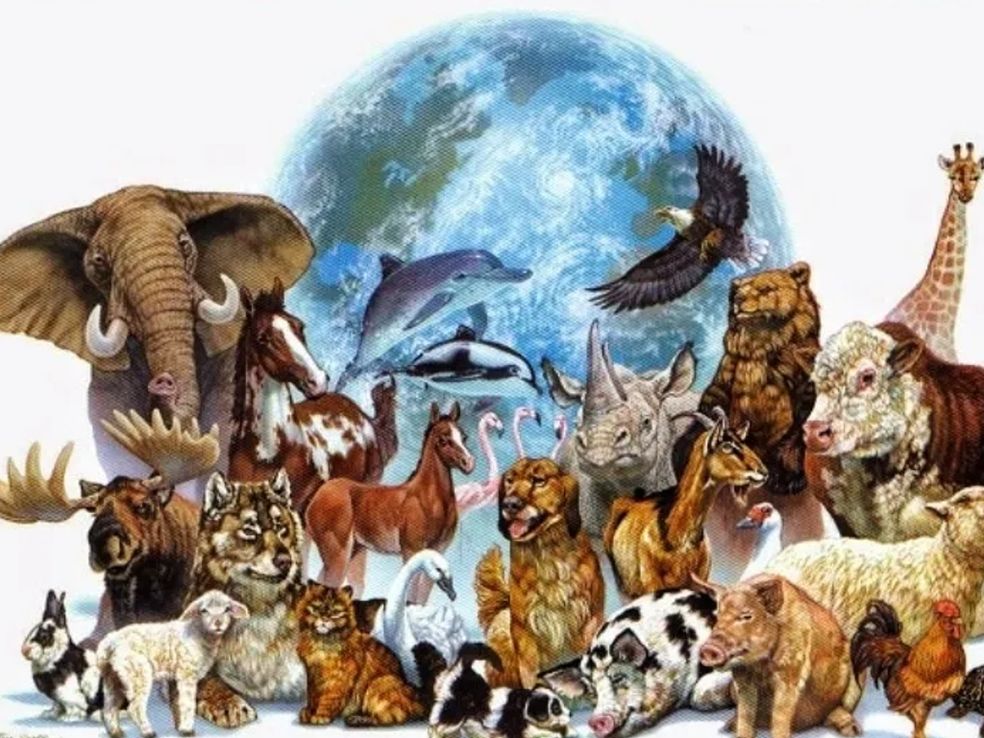 Humanizar animales
