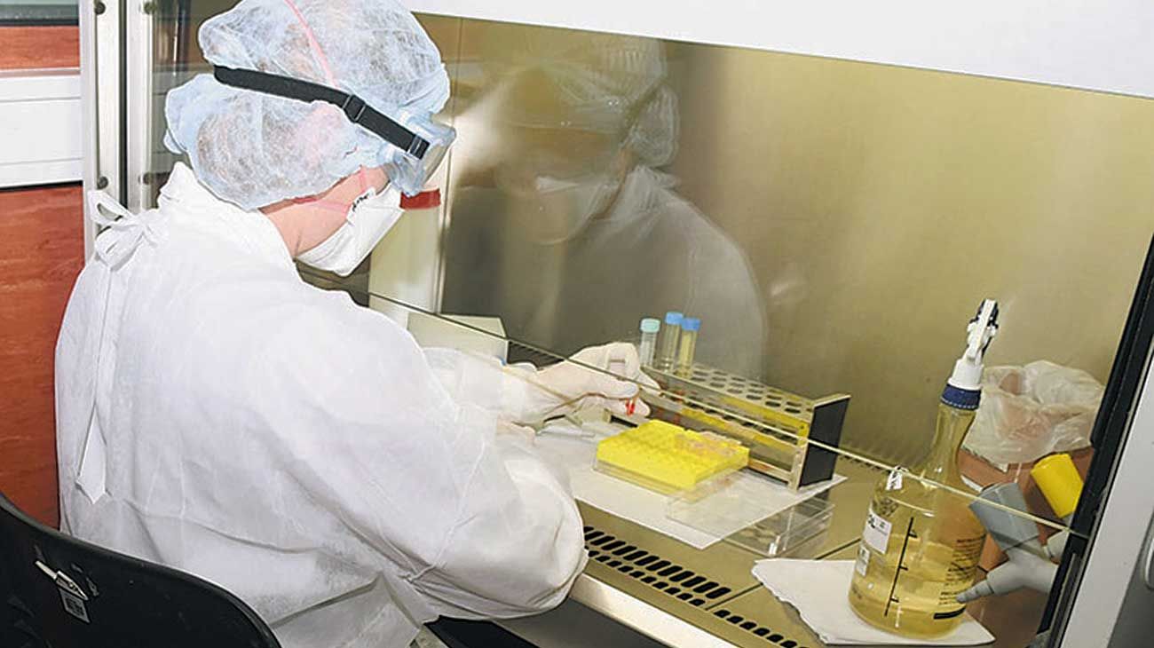 Ya trabajan 51 laboratorios en el país y expertos piden que se hagan más tests