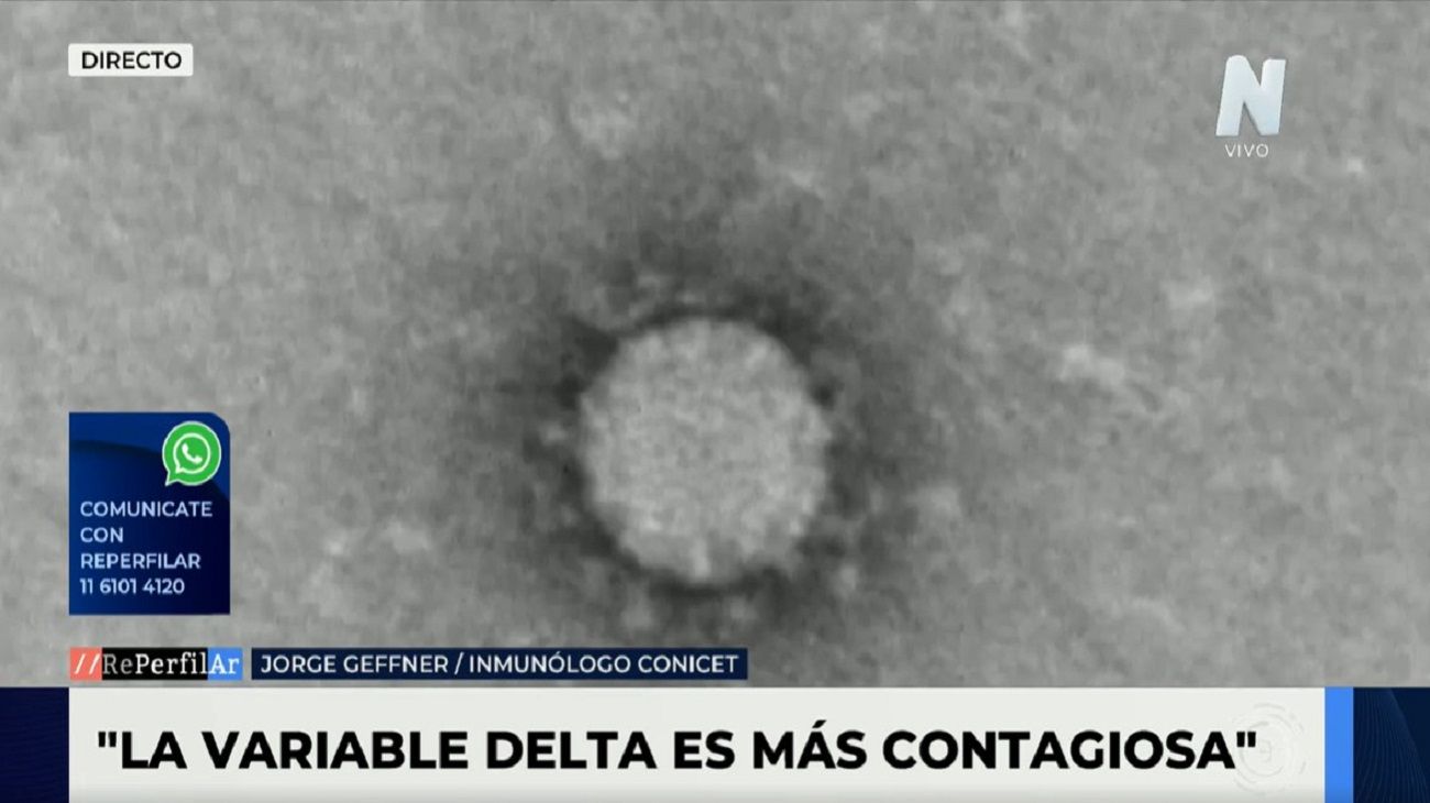 Jorge Geffner: "La variable Delta podría tener cierto nivel de resistencia a las vacunas"
