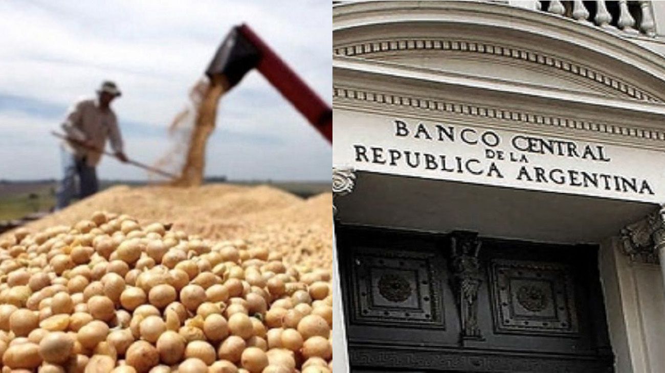 El precio de la soja sigue sin encontrar piso: ¿Qué impacto puede tener en las reservas del BCRA?