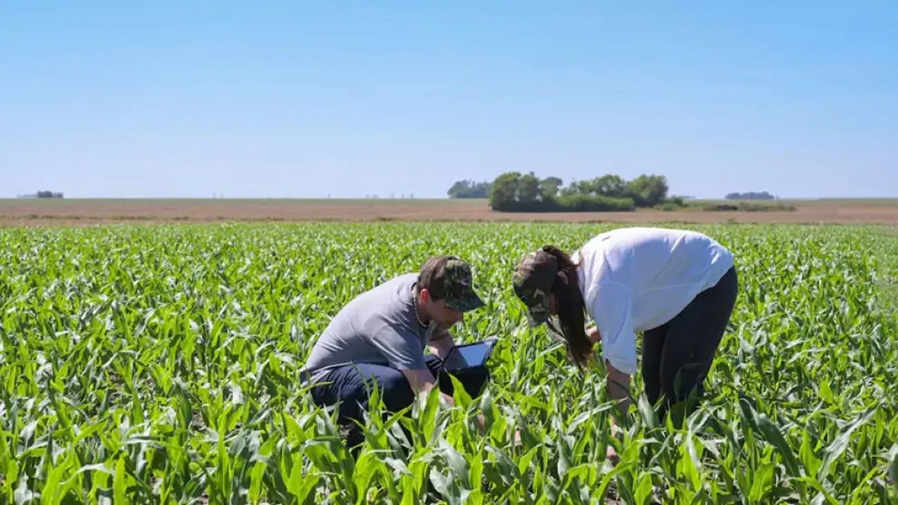 Expoagro: “Los bancos estamos muy activos buscando acompañar a los productores”