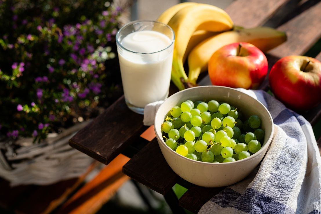 Harvard revela el Plato Saludable: ¿qué comer para una dieta equilibrada?