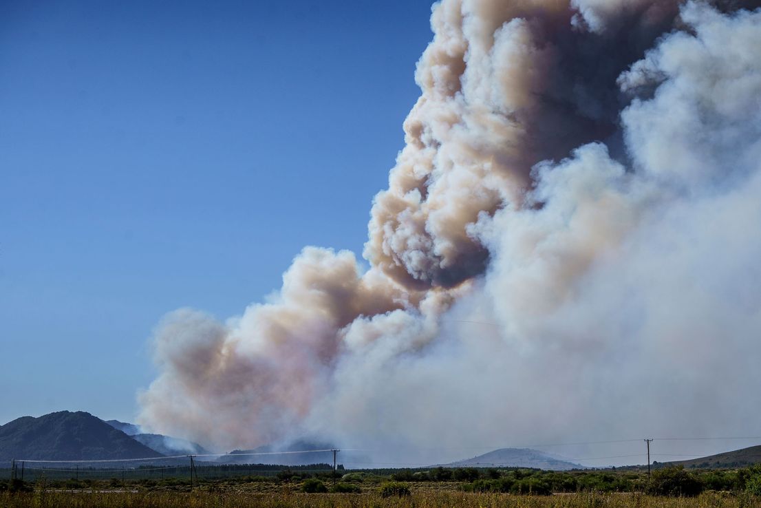 Bosques, glaciares y clima: los tres desafíos ambientales que no pueden esperar
