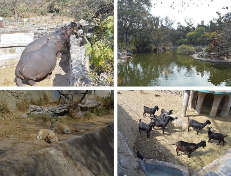 Parque de la Biodiversidad: las claves del proyecto que prepara la Municipalidad