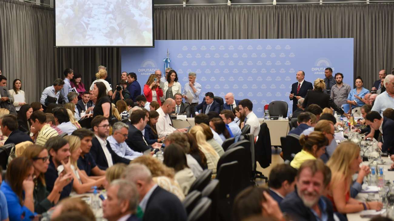 Se debatió sobre la boleta única de papel en plenario de comisiones del Senado