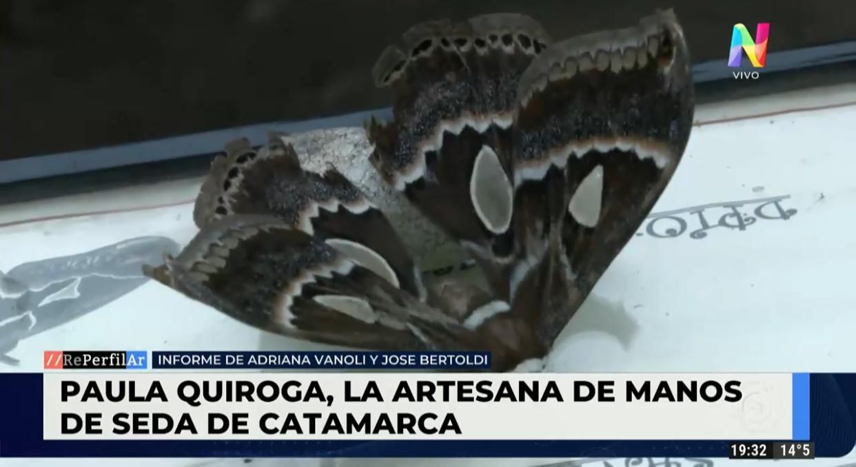 Quién es la artesana que logró hacer sedas preservando el medio ambiente