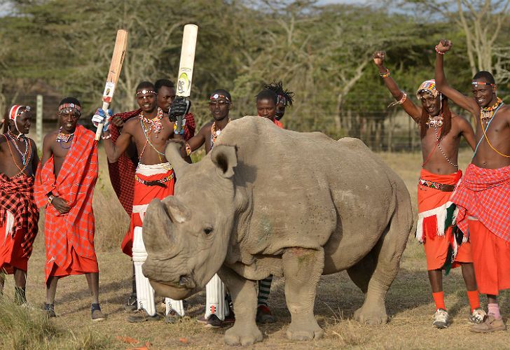 Muere en Kenia el último rinoceronte macho del norte: quedan solo dos hembras