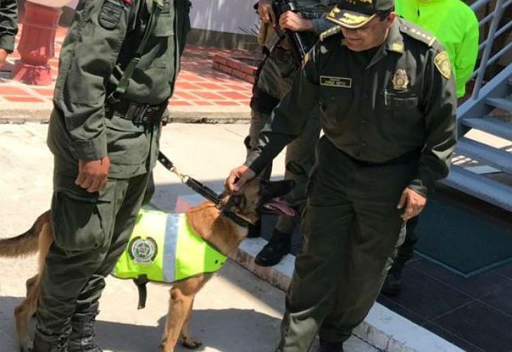 El mejor escáner del mundo no puede igualar a la nariz de Orión