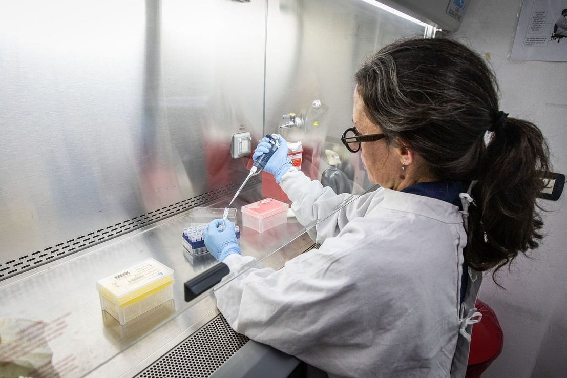 Hantavirus: Argentina investiga el origen del contagio