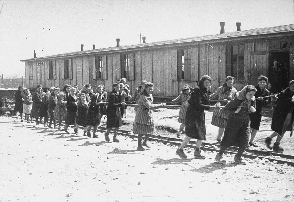 Agustino Fontevecchia a 80 años de la liberación de Auschwitz: “Hay que recordar que esto sucedió, y que puede volver a suceder”