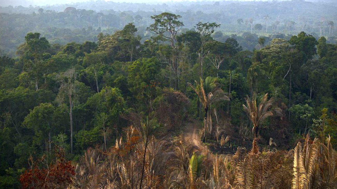 La selva amazónica es únicamente nuestra, dice Brasil al mundo