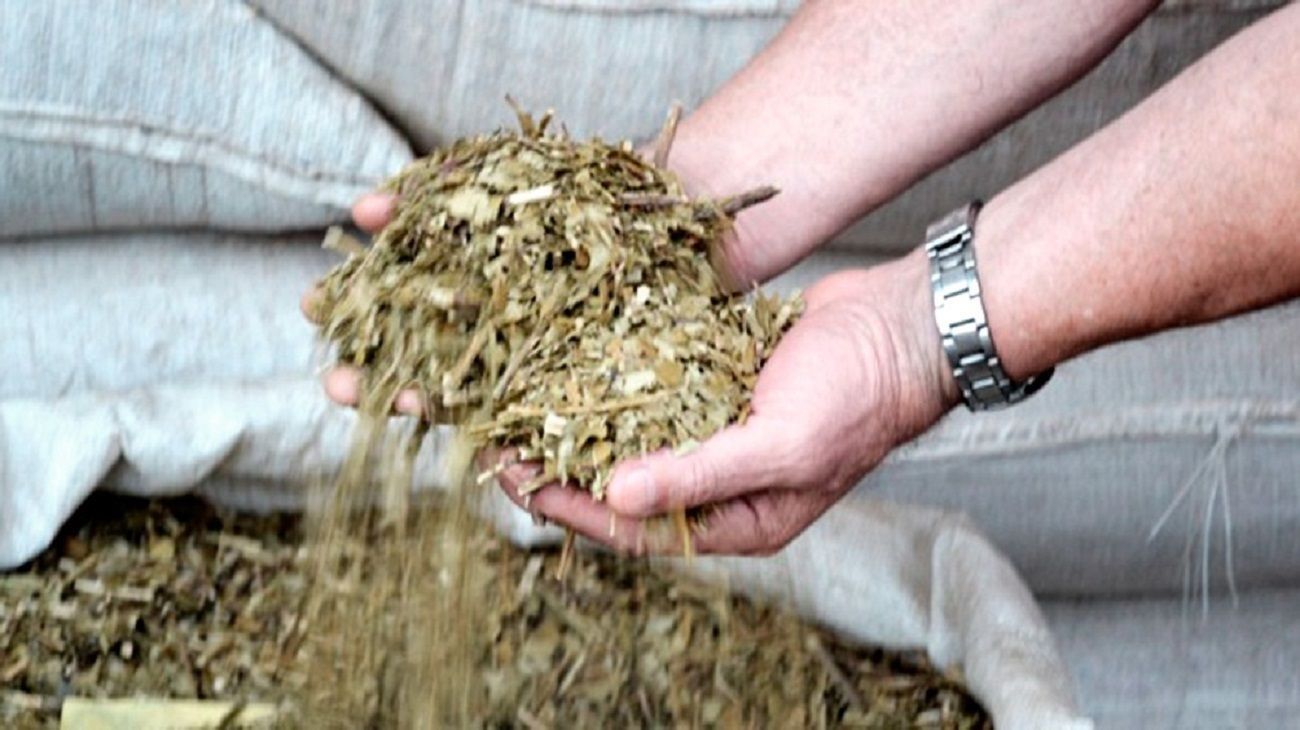 La yerba mate continúa en la espera de la fijación de nuevos precios