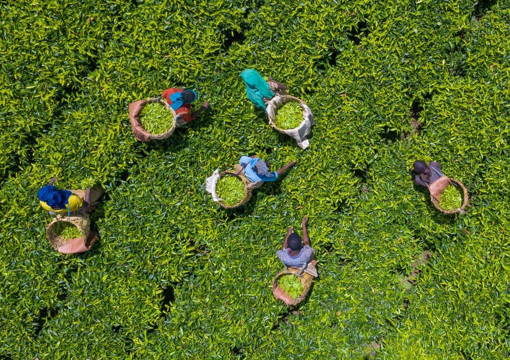 Etiopía utiliza drones para mejorar la seguridad alimentaria en áreas remotas