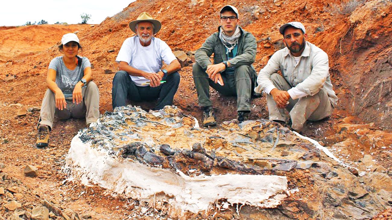 San Juan: descubren un "cementerio" de dinosaurios en el Parque Provincial Ischigualasto