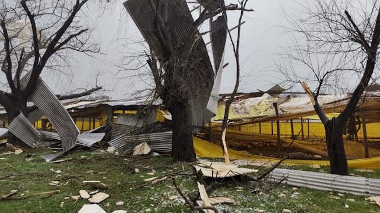 Temporal con granizo generó grandes destrozos en Saladillo, 9 de Julio y 25 de Mayo
