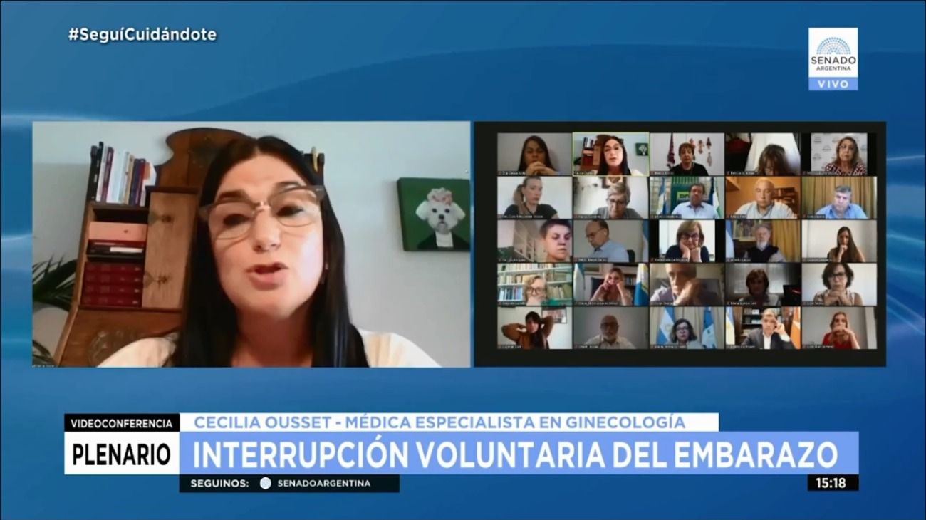 Aborto: la conmovedora carta a los senadores de una nena violada y obligada a parir
