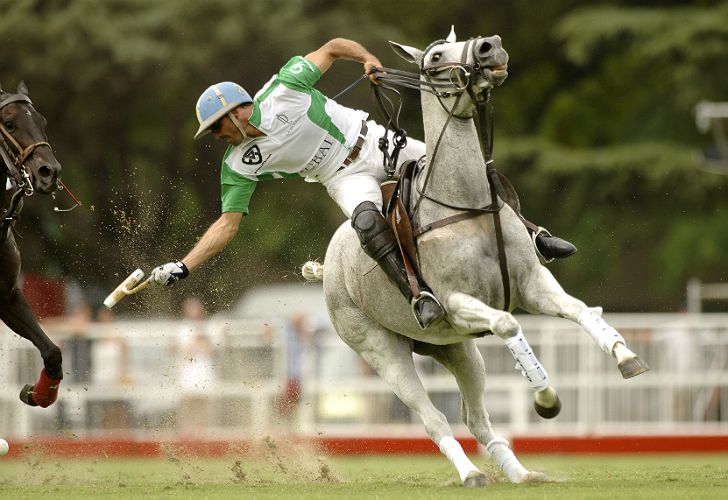Roban siete caballos al polista Cambiaso