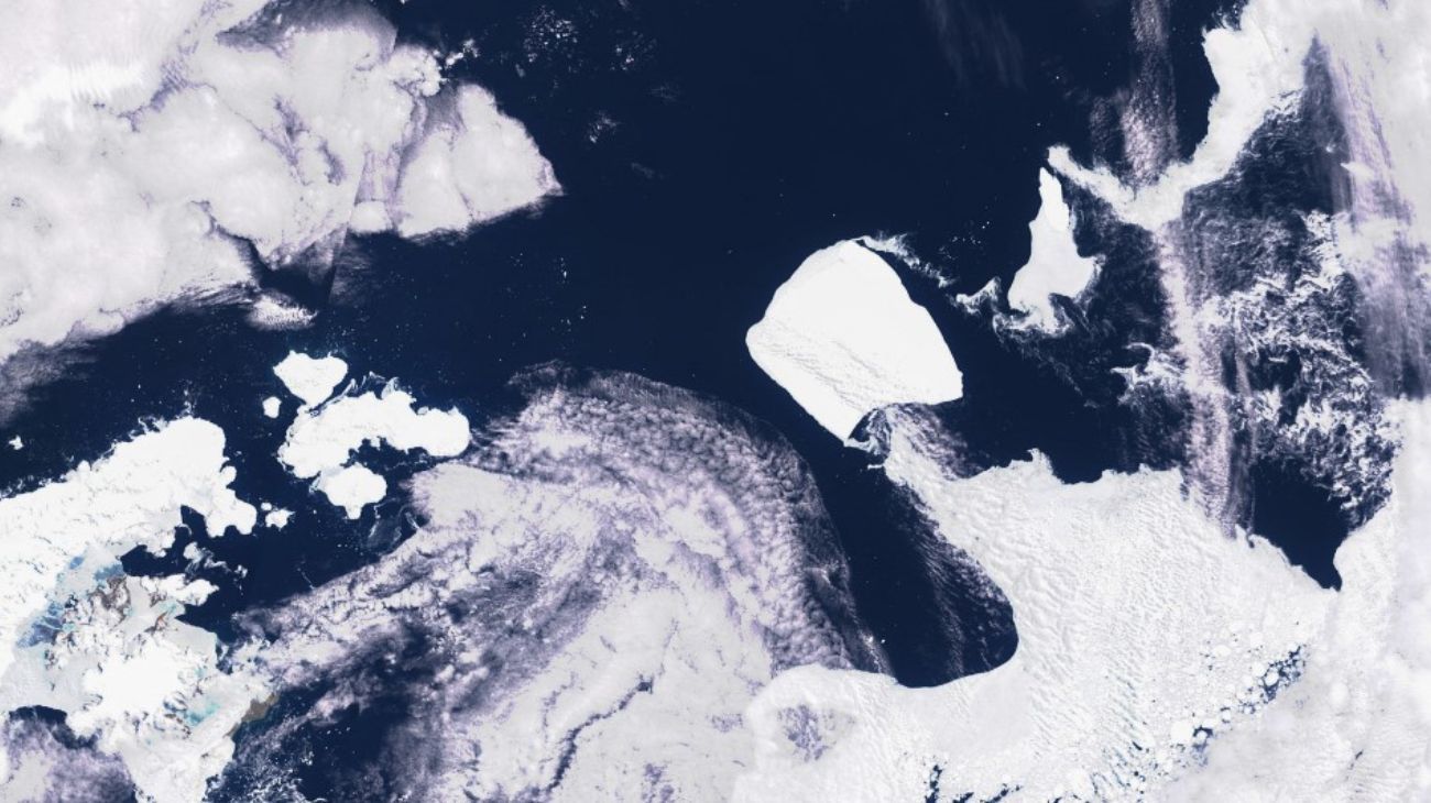Midieron con exactitud al glaciar "monstruo" que navega por el mar: las cifras que revelan su escala