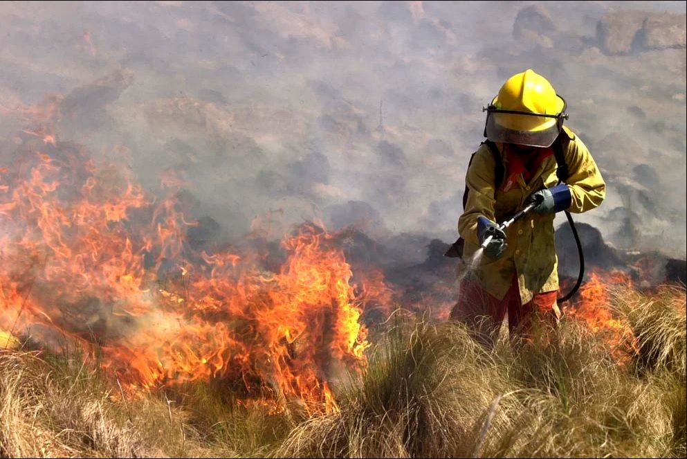 Bomberos combaten cinco incendios forestales en varios sectores de Córdoba
