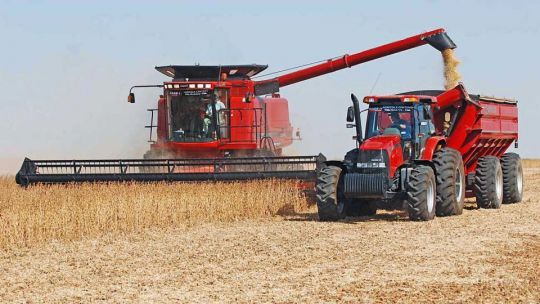 Por qué la agroindustria es la solución para salir de la crisis