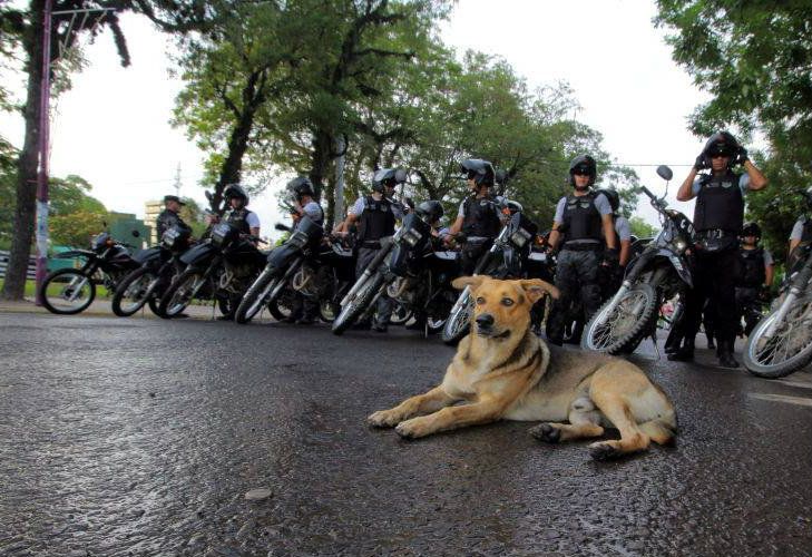 Murió atropellado Mariscal, el guardián de la Casa de Gobierno de Chaco
