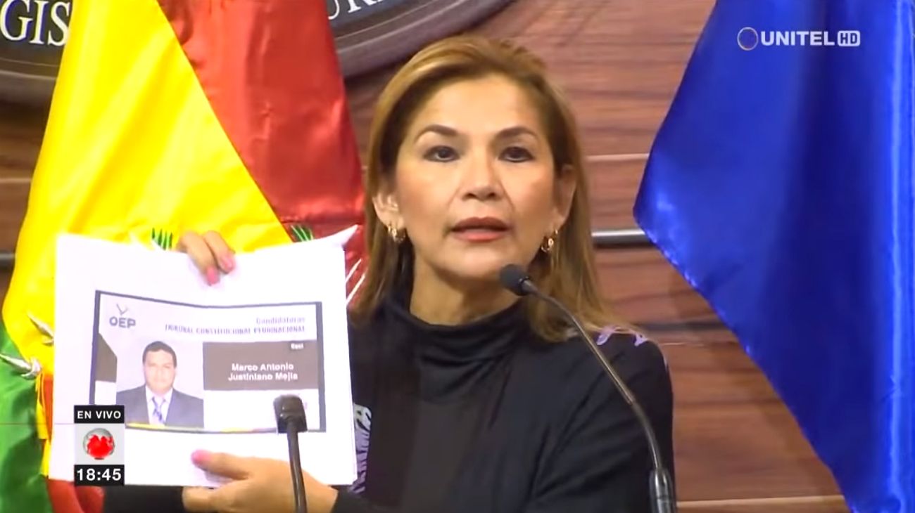 Jeanine Áñez, la senadora opositora que podría asumir la presidencia de Bolivia