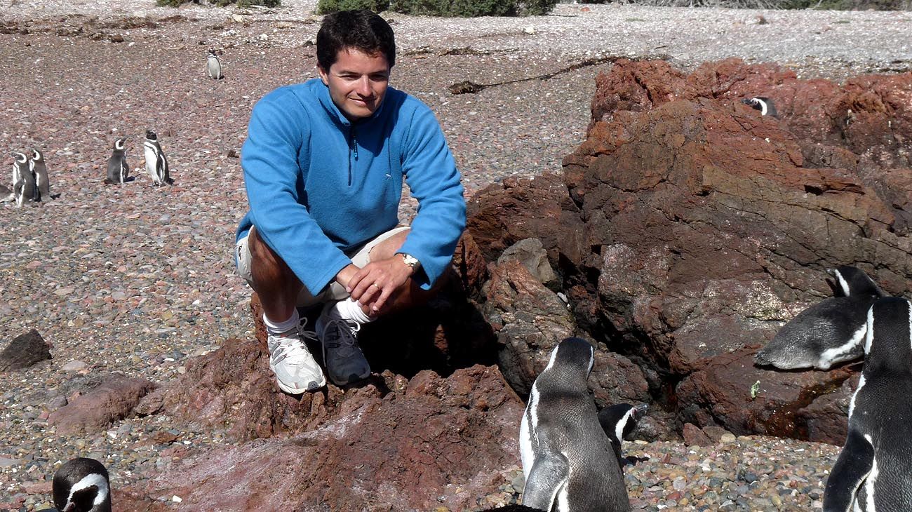 De las 18 especies de pingüinos del mundo, 10 están amenazadas