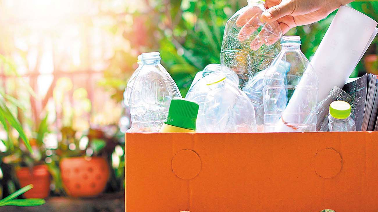 Ser sustentables, la verdadera rebeldía