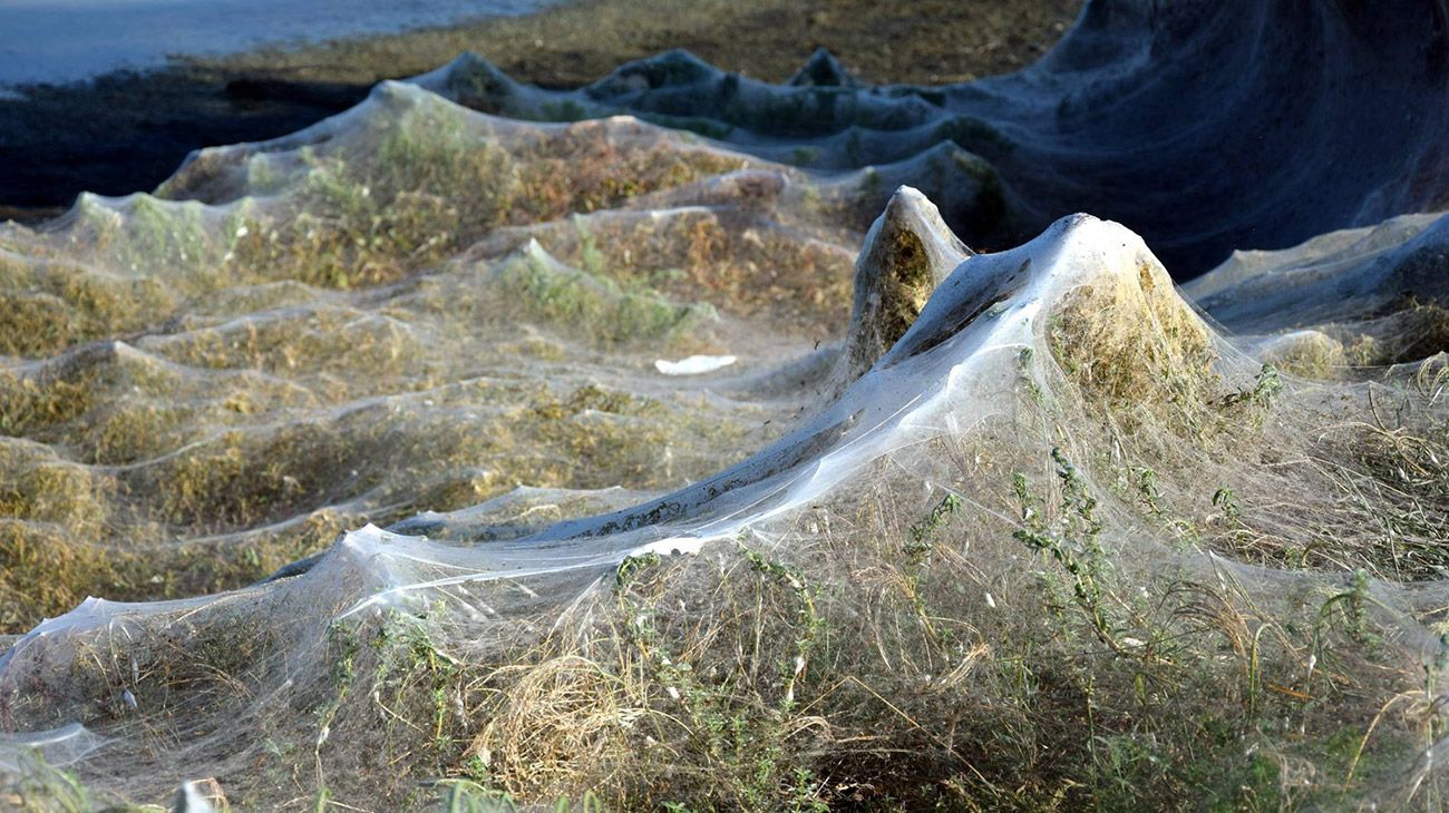 Un lago de Grecia amaneció cubierto por una telaraña gigante