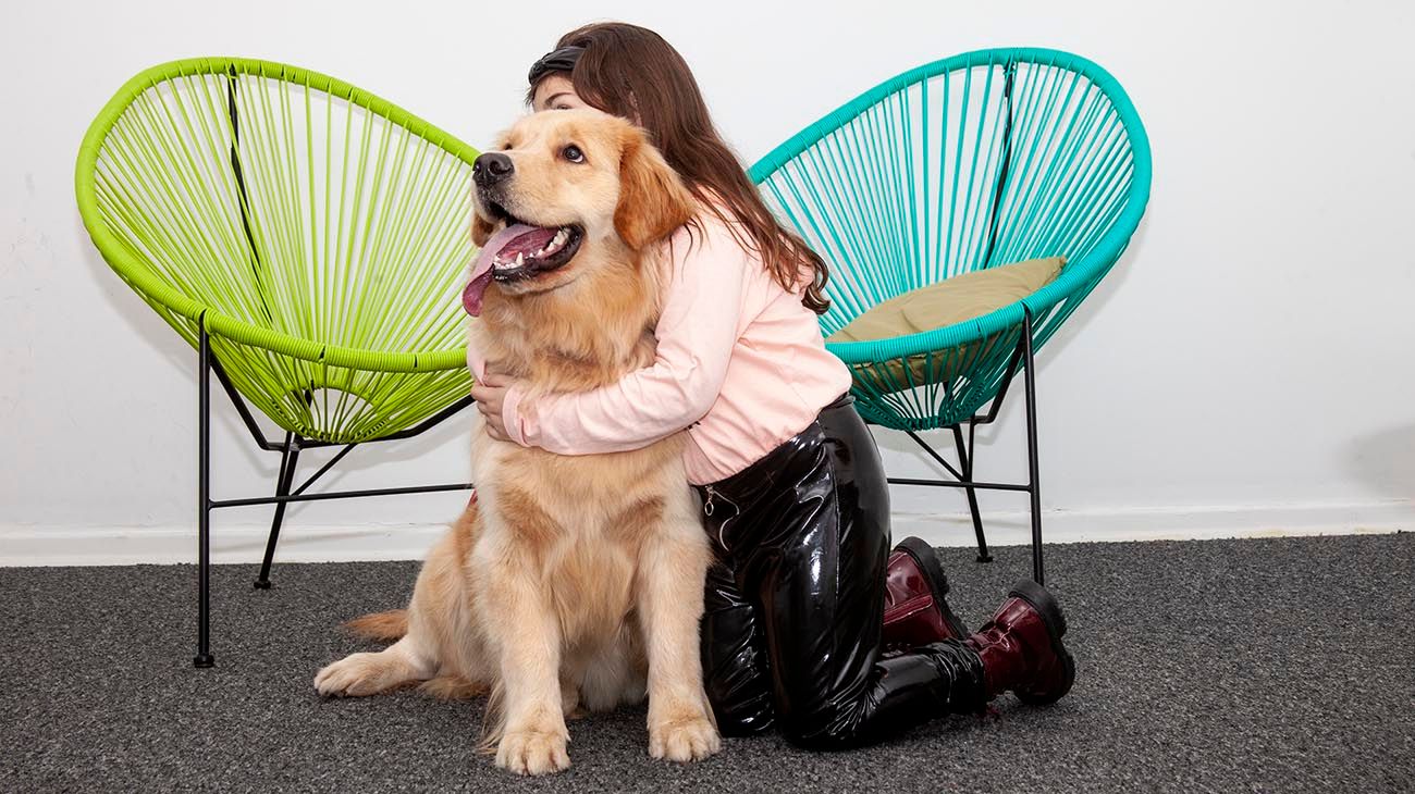 Cómo impacta la tarea de los perros en la asistencia judicial de niños