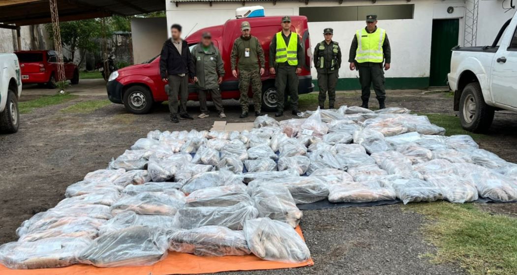 Mega decomiso en Corrientes: Gendarmería secuestró 950 kilos de pescados transportados sin habilitación