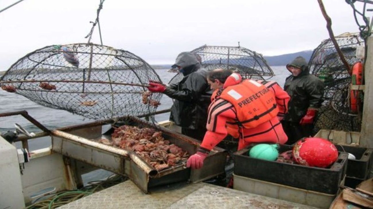 Pesca: piden por la urgente cuotificación de la merluza hubbsi