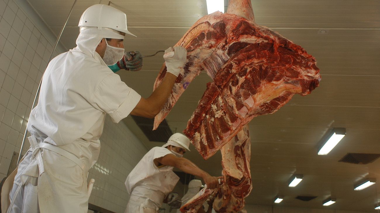 "La carne que se venderá con descuento es el 3% del consumo de los argentinos"