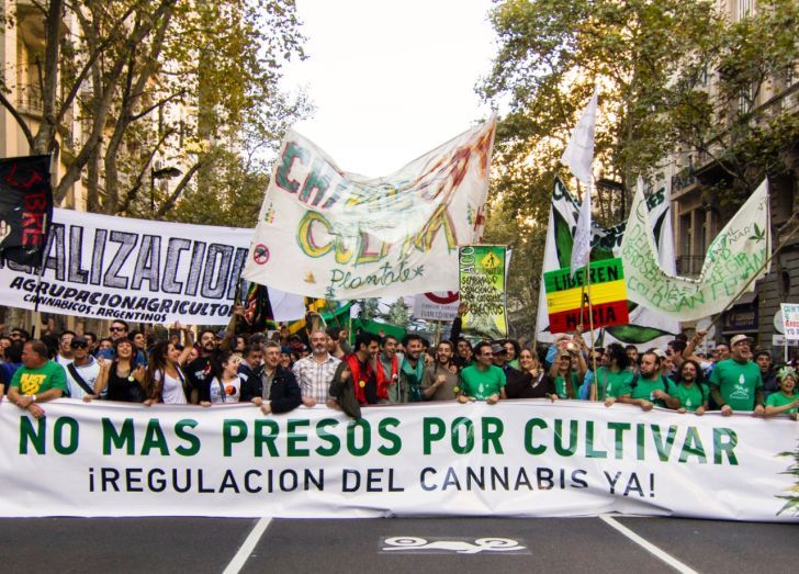 Comienza el primer juicio penal de Argentina sobre cannabis medicinal