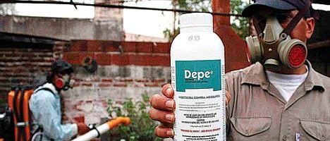 Dengue fuera de control: hay más de 6500 infectados