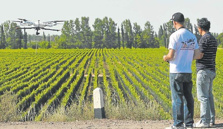 Las agtech muestran el camino de la inteligencia artificial aplicada