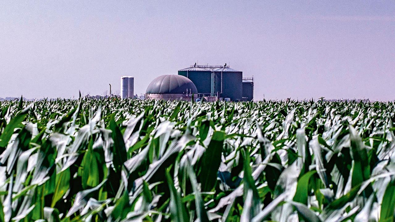 ¿Qué biocombustibles aumentan un 5%?