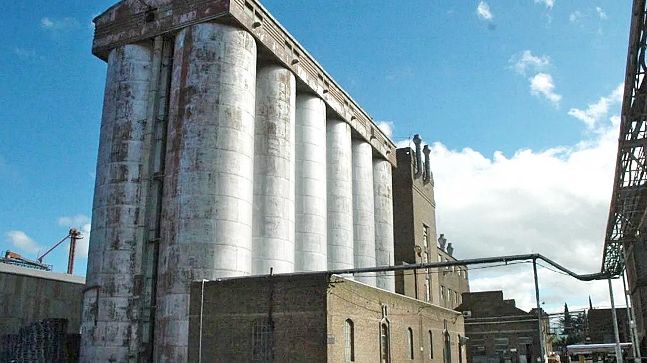 Molino Cañuelas está cerca del concurso por US$ 1.400 millones