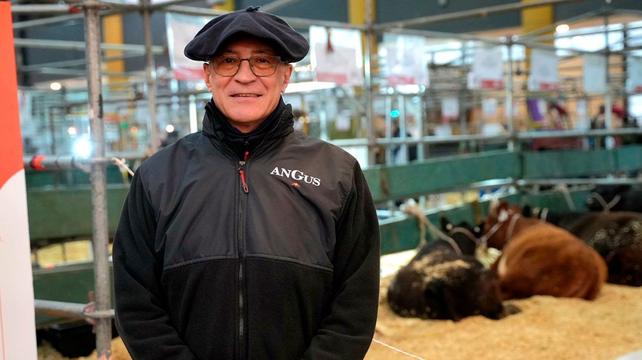 Quién es Amadeo Derito, el nuevo presidente de Angus, la mayor raza ganadera del país