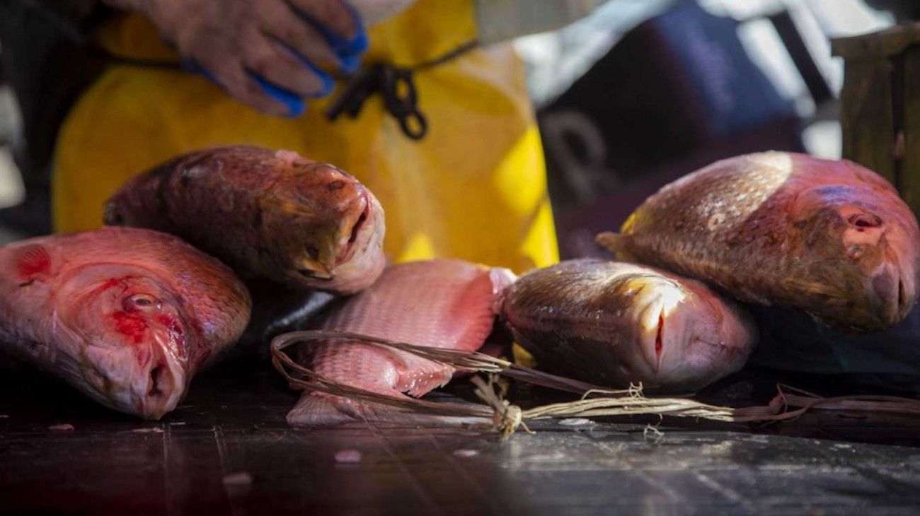 El Gobierno prohibió la venta de pescados de río por la bajante del Paraná