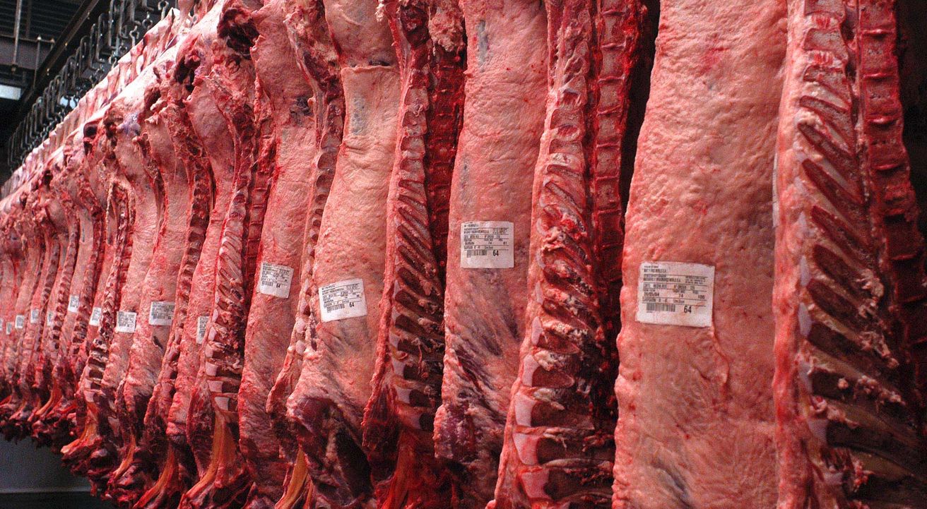 Frigoríficos recuperados presentaron propuestas para que baje el precio de la carne