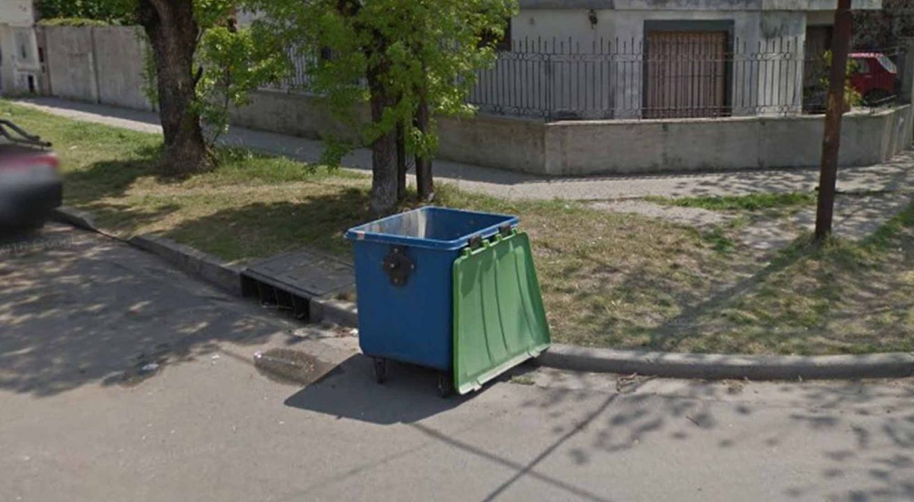 Hallan 30 esqueletos de perros faenados en un contenedor en Rosario