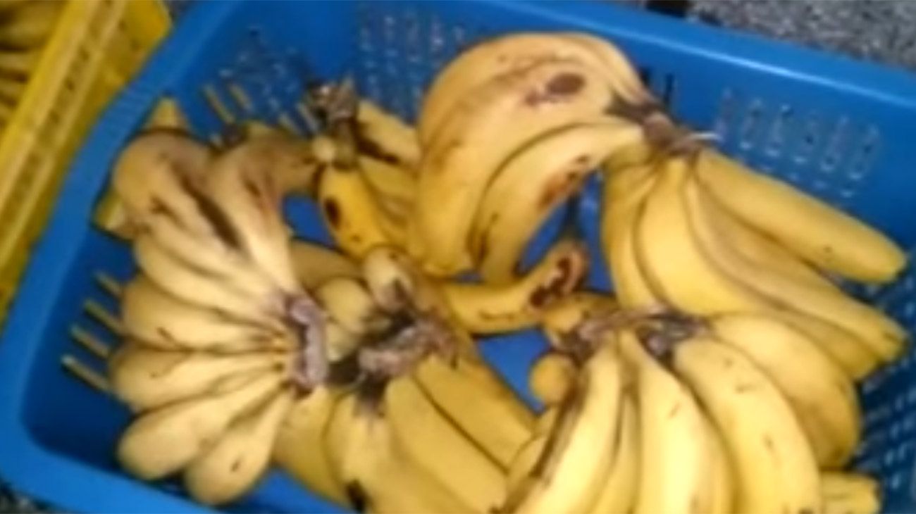 Denuncian que entregaron 150 bananas podridas en una escuela de Mar del Plata
