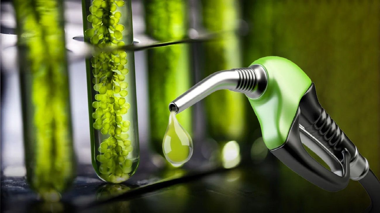 El potencial de la Argentina con el bioetanol y su oportunidad en el mercado global