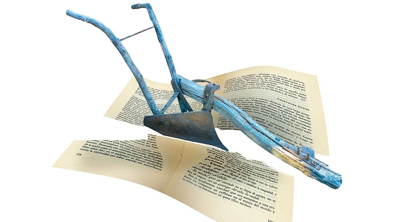Letras desde el llano
