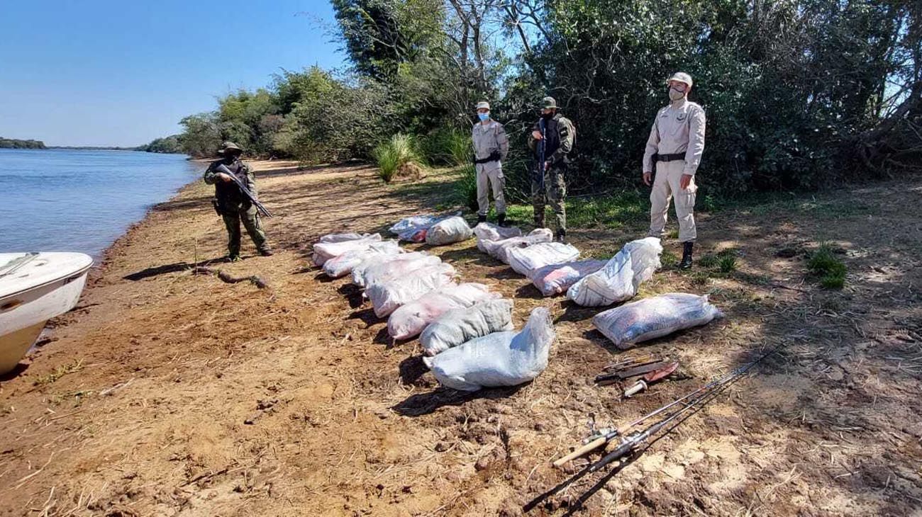 Secuestraron 700 kilos de carpincho faenado en Corrientes