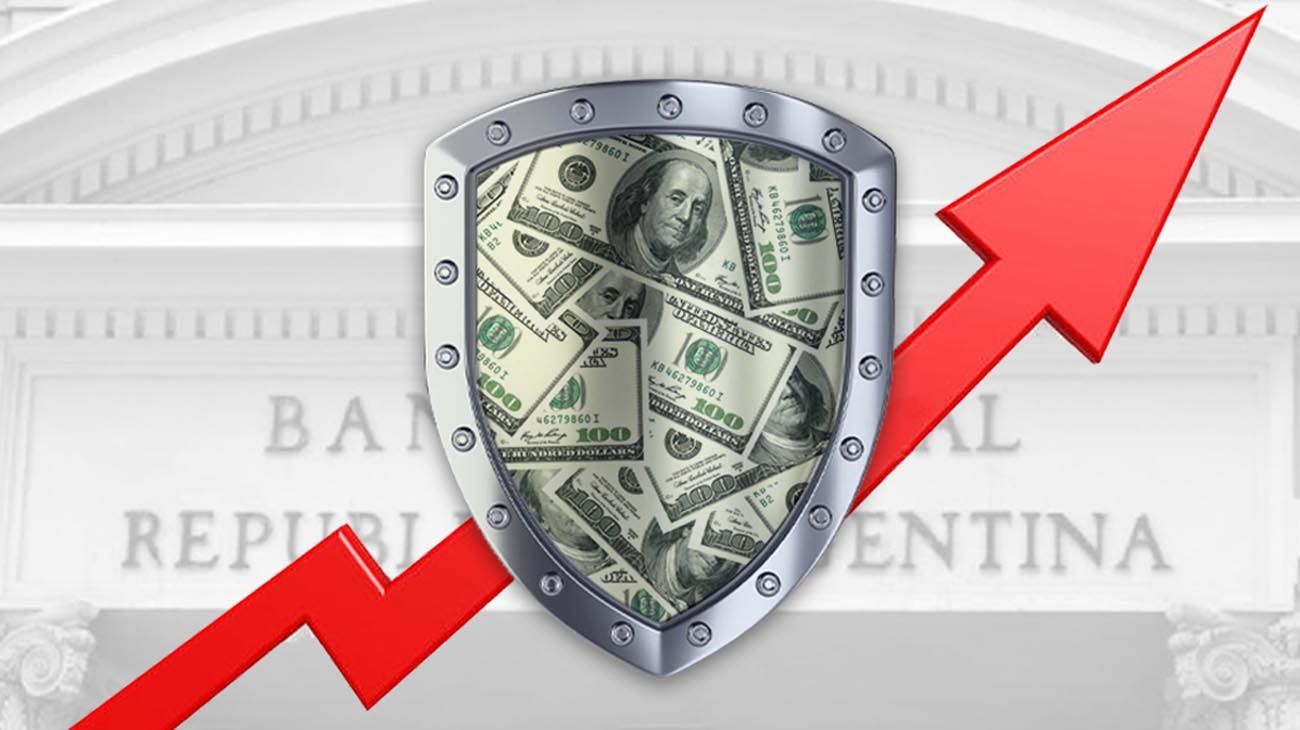 Blindaje ahorrista: inversiones en pesos con retornos estimados del 40% en dólares