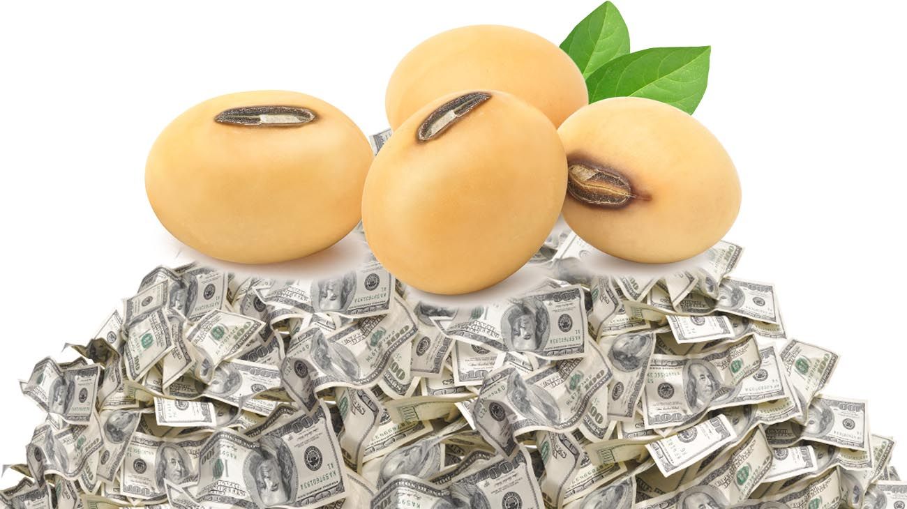 Luego del dólar soja, tamberos reclaman por un “dólar leche”