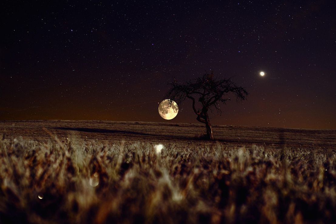 Luna de Sangre 2025: fecha, horarios y cómo observar el eclipse lunar